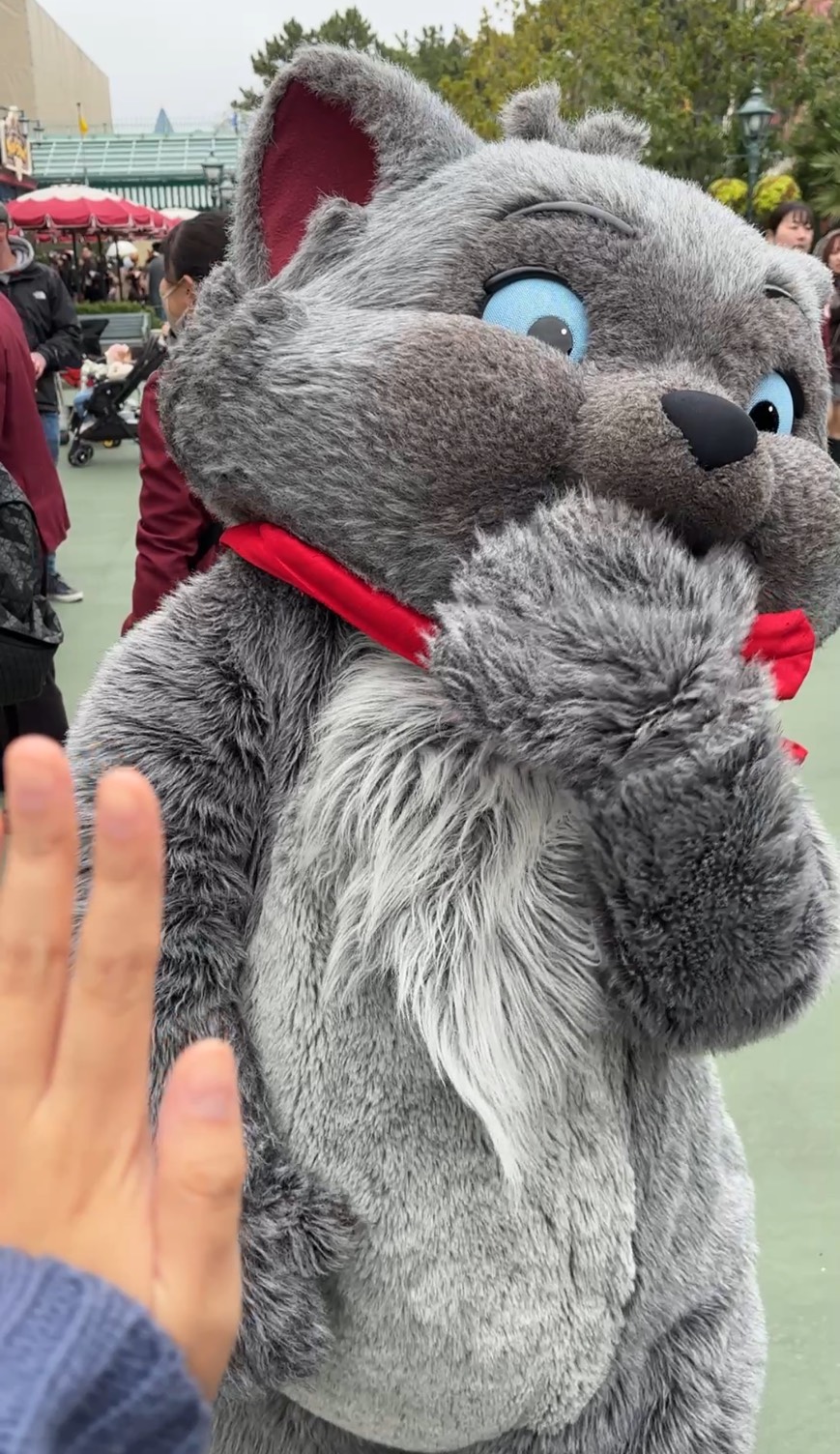 待ちに待ったライブ